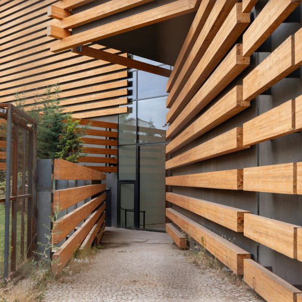 pexels-ekrulila-17612096